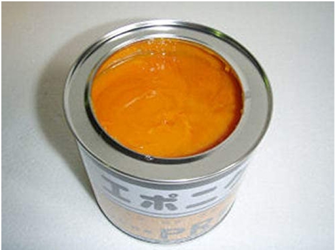 Eponics บริษัท Noda Chemical Industry สารเร่งหลัก สารเร่ง สารเร่งปฏิกิริยา สี: ส้ม 1KG x 12
